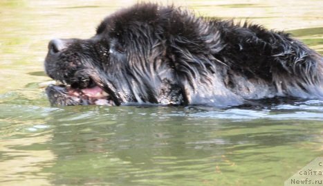 Фотография № 46962