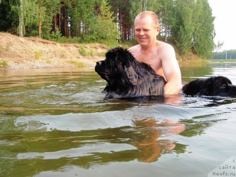 Фотография № 46966