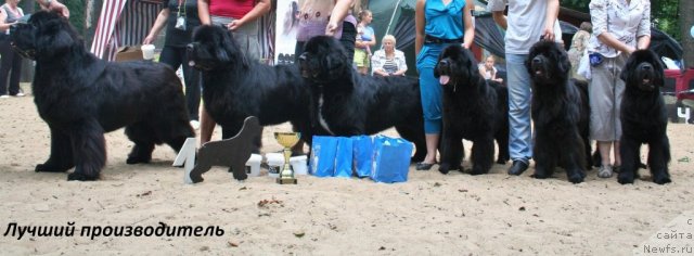 Фотография № 46982