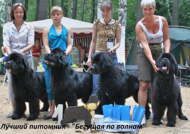 Фотография № 46983