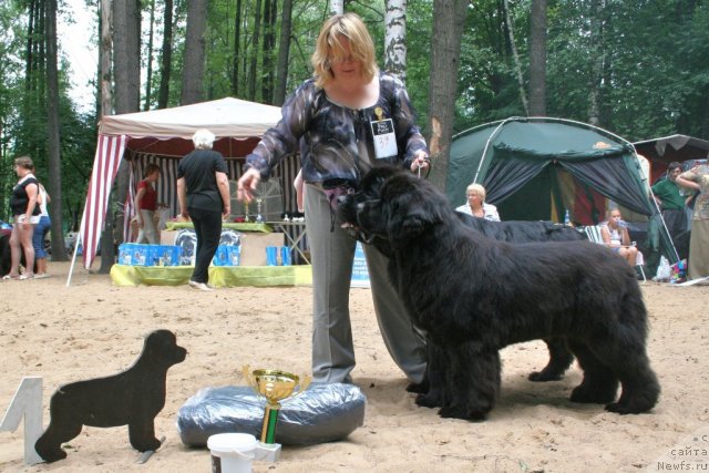 Фотография № 46985