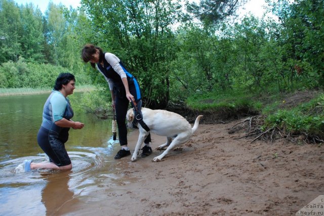 Фотография № 47018