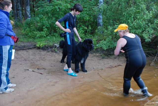 Фотография № 47020