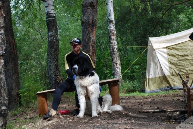 Фотография № 47032