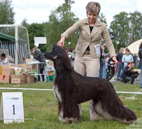 Фотография № 47044