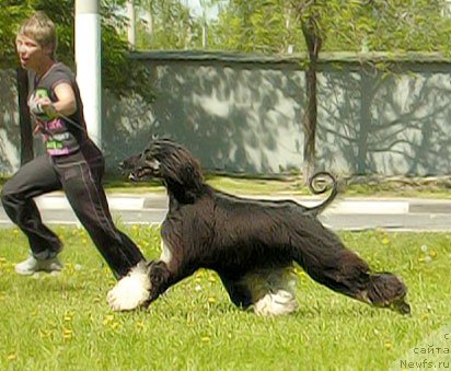 Фотография № 47045