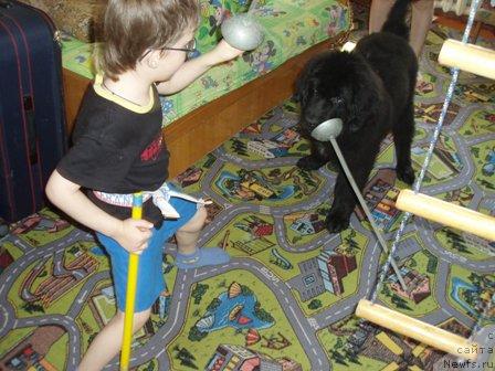 Фотография № 4707