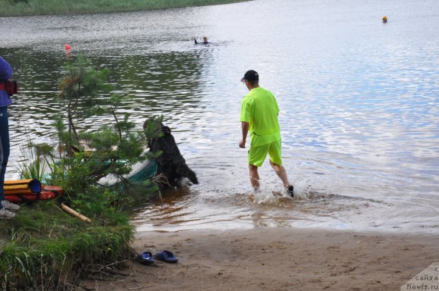 Фотография № 47072