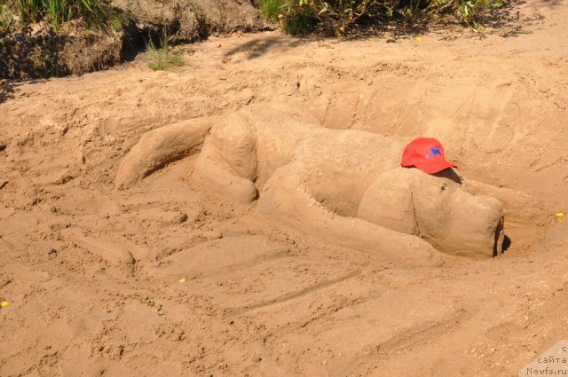 Фотография № 47073