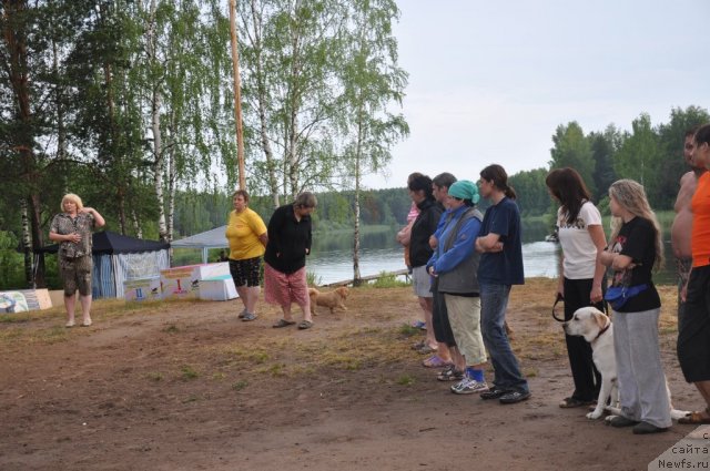 Фотография № 47089