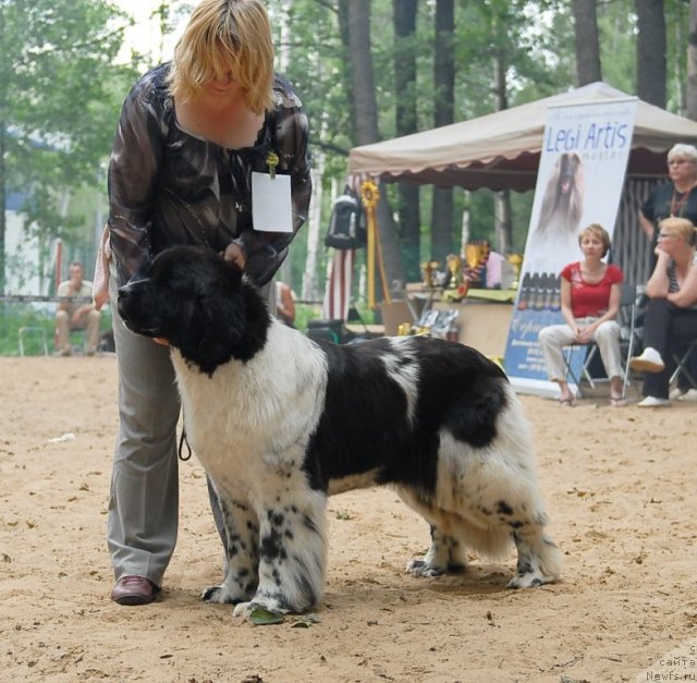 Фотография № 47116