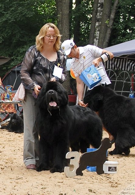 Фотография № 47126