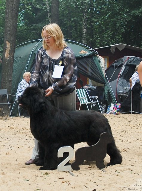 Фотография № 47134