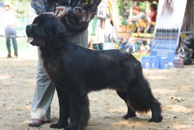 Фотография № 47173