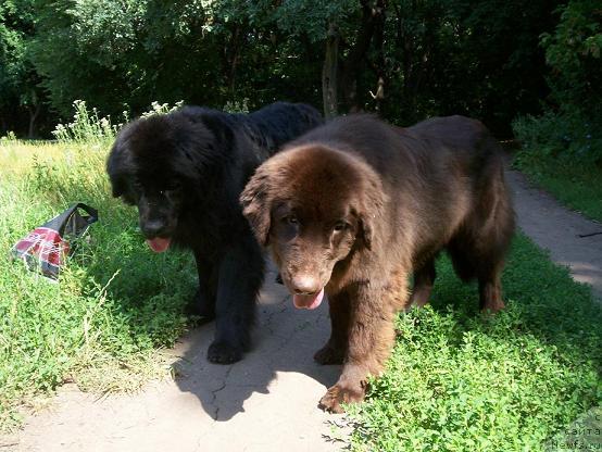 Фотография № 4721