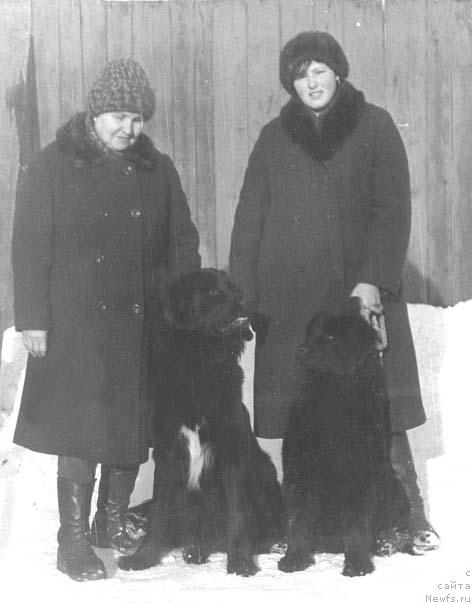 Фото: ньюфаундленд Jan CHarvens (Жан Чарвенс)