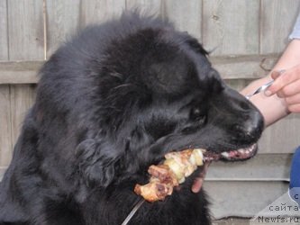 Фотография № 47230