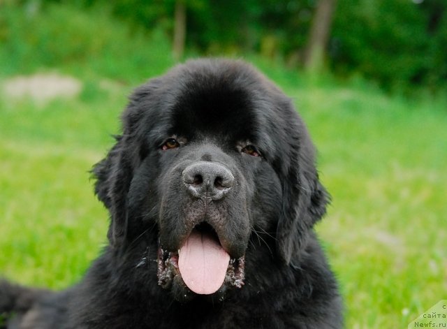 Фотография № 47243