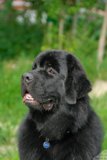 Фотография № 47253