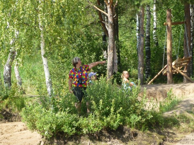 Фотография № 47268