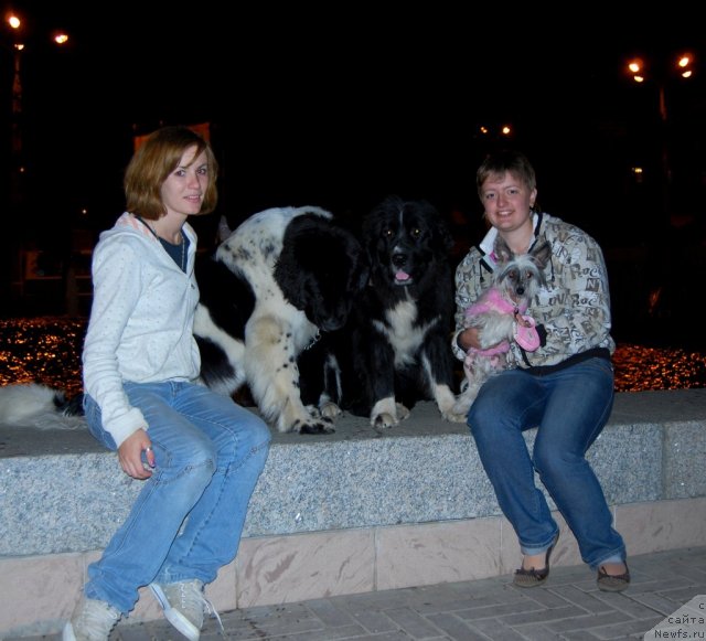 Фото: Elena Popova (Елена Попова), Aleksandra Vesnina (Александра Веснина), ньюфаундленд Mag Ispolin Lavina (Маг Исполин Лавина), ньюфаундленд Piternyuf Prodigy (Питерньюф Продижи)