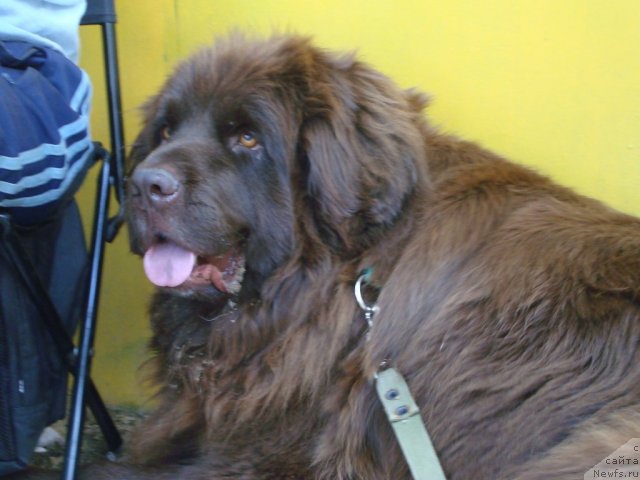 Фотография № 47312