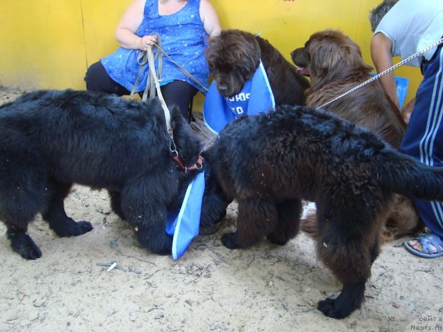 Фотография № 47313