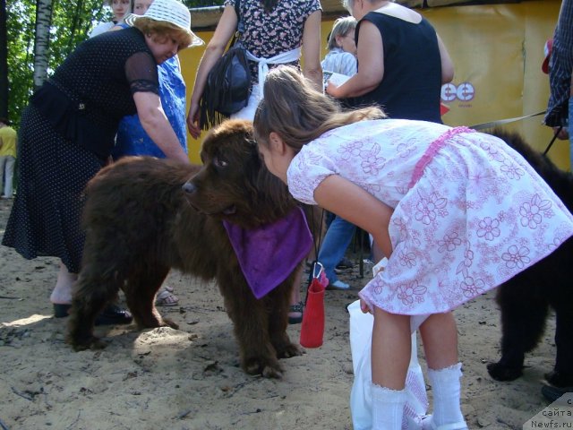 Фотография № 47315