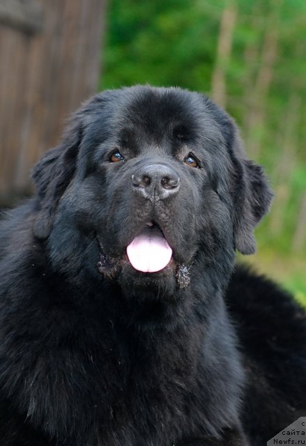 Фотография № 47365