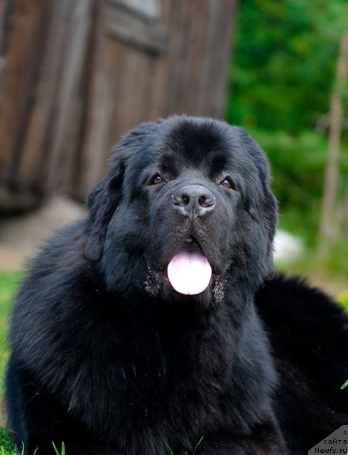 Фотография № 47366