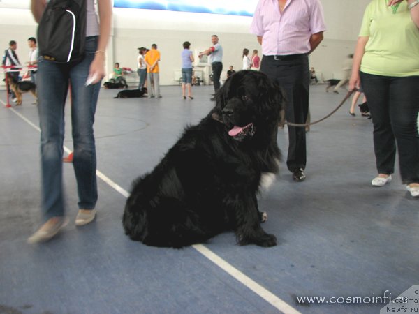 Фото: [d6411]Астана 2010 1 августа