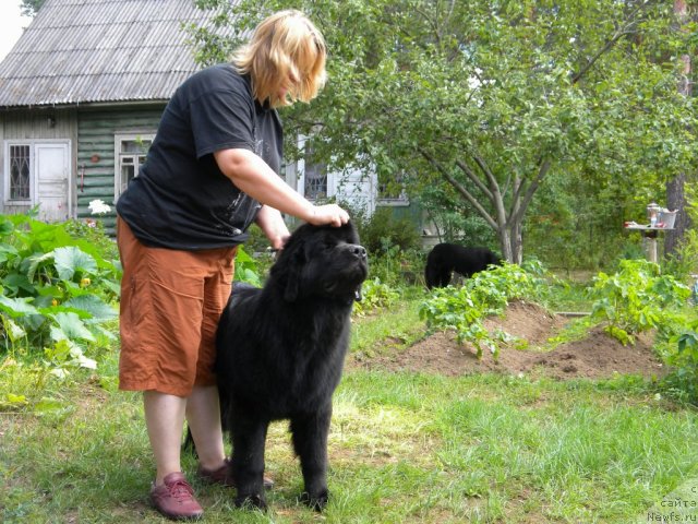 Фотография № 47387