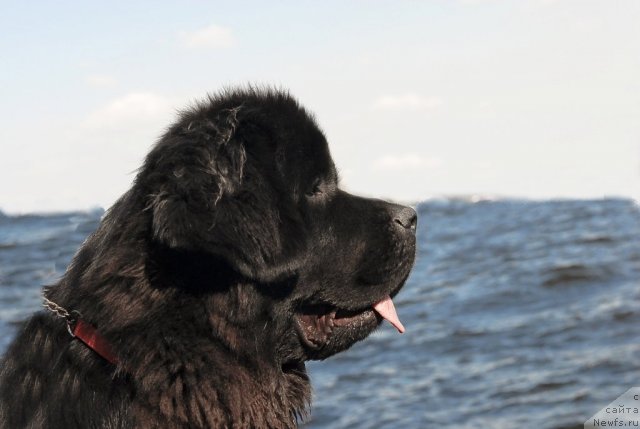 Фотография № 47393