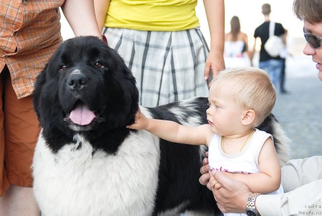 Фотография № 47395