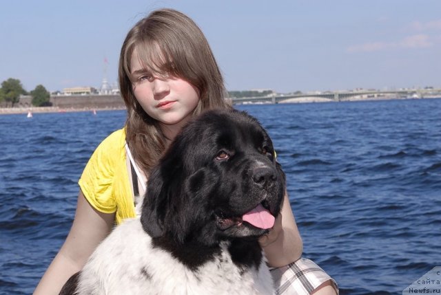 Фотография № 47397