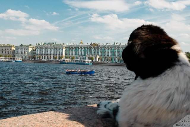 Фотография № 47398