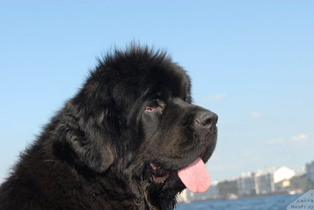 Фотография № 47399