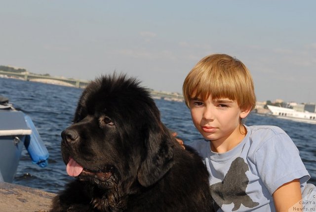 Фотография № 47401