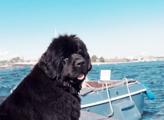 Фотография № 47404