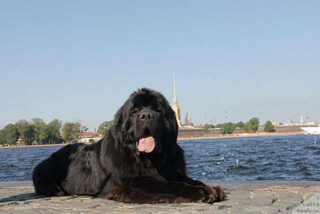 Фотография № 47407