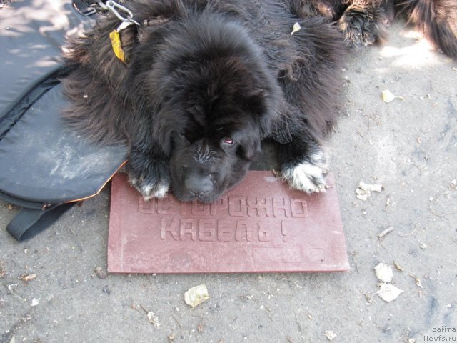 Фотография № 47408