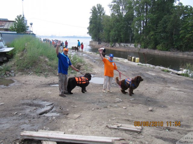 Фотография № 47409