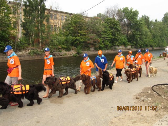 Фотография № 47411