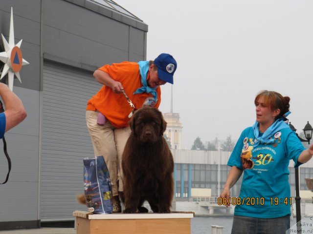 Фотография № 47417