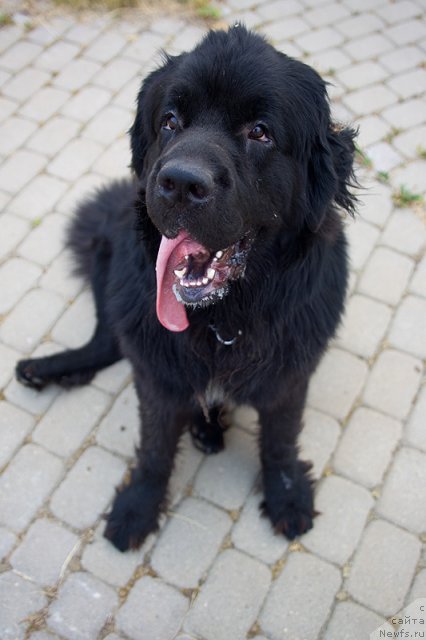 Фотография № 47491