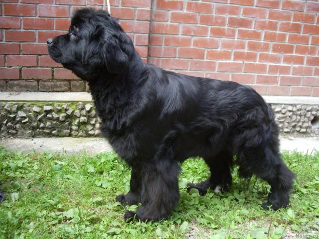 Фотография № 47502