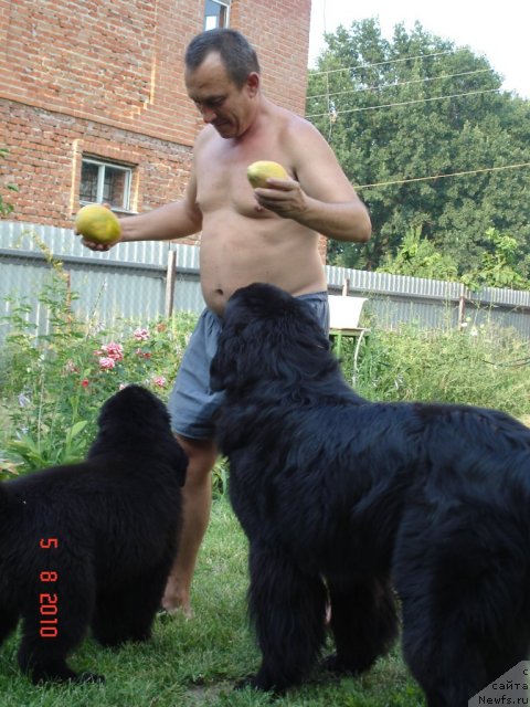 Фото: Valentina Artemenko (Валентина Артеменко)