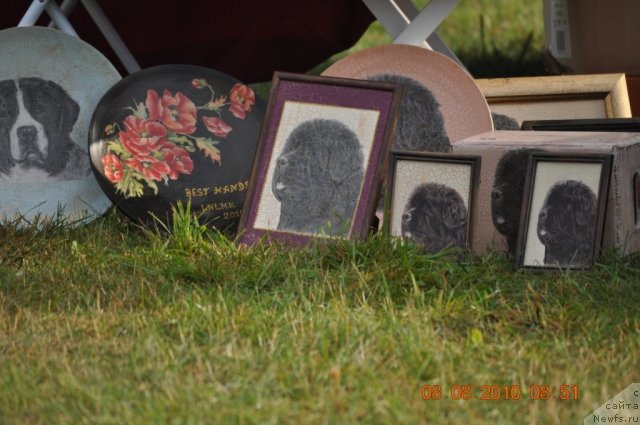 Фотография № 47552