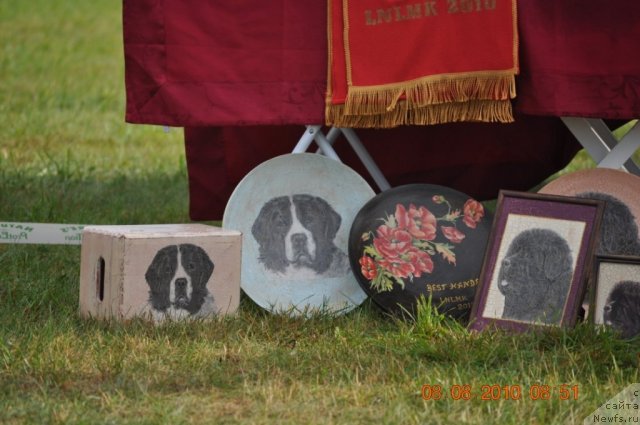 Фотография № 47553