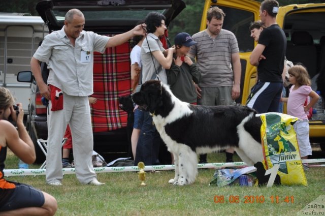 Фотография № 47554